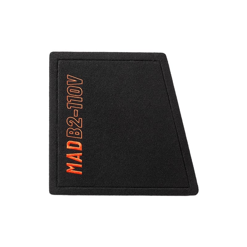 GAS Audio MAD B2-110V