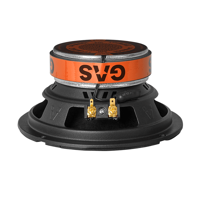 GAS Audio MAD PX2-64