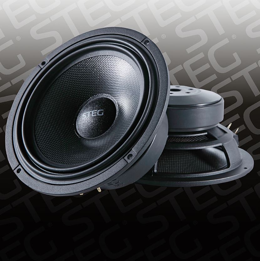 STEG SG650WF