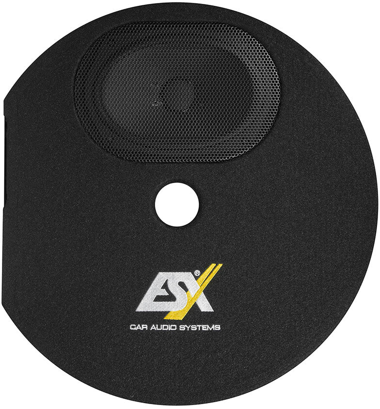 ESX DBX300Q