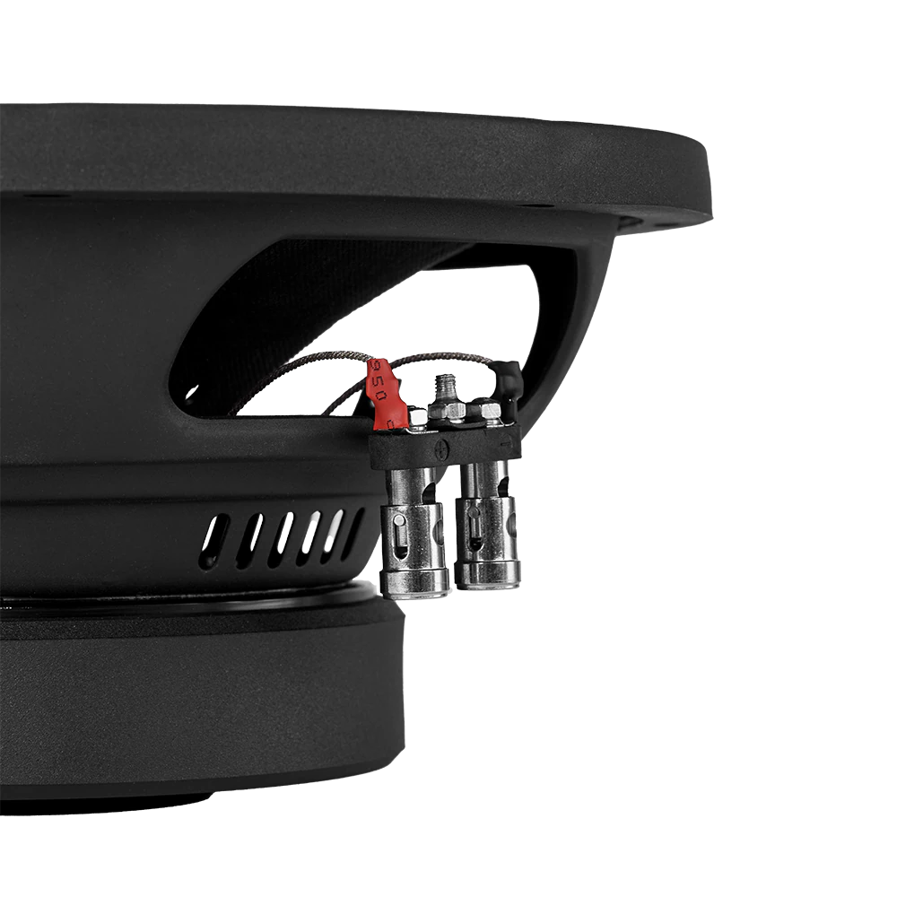 DLS Performance PE10.D2