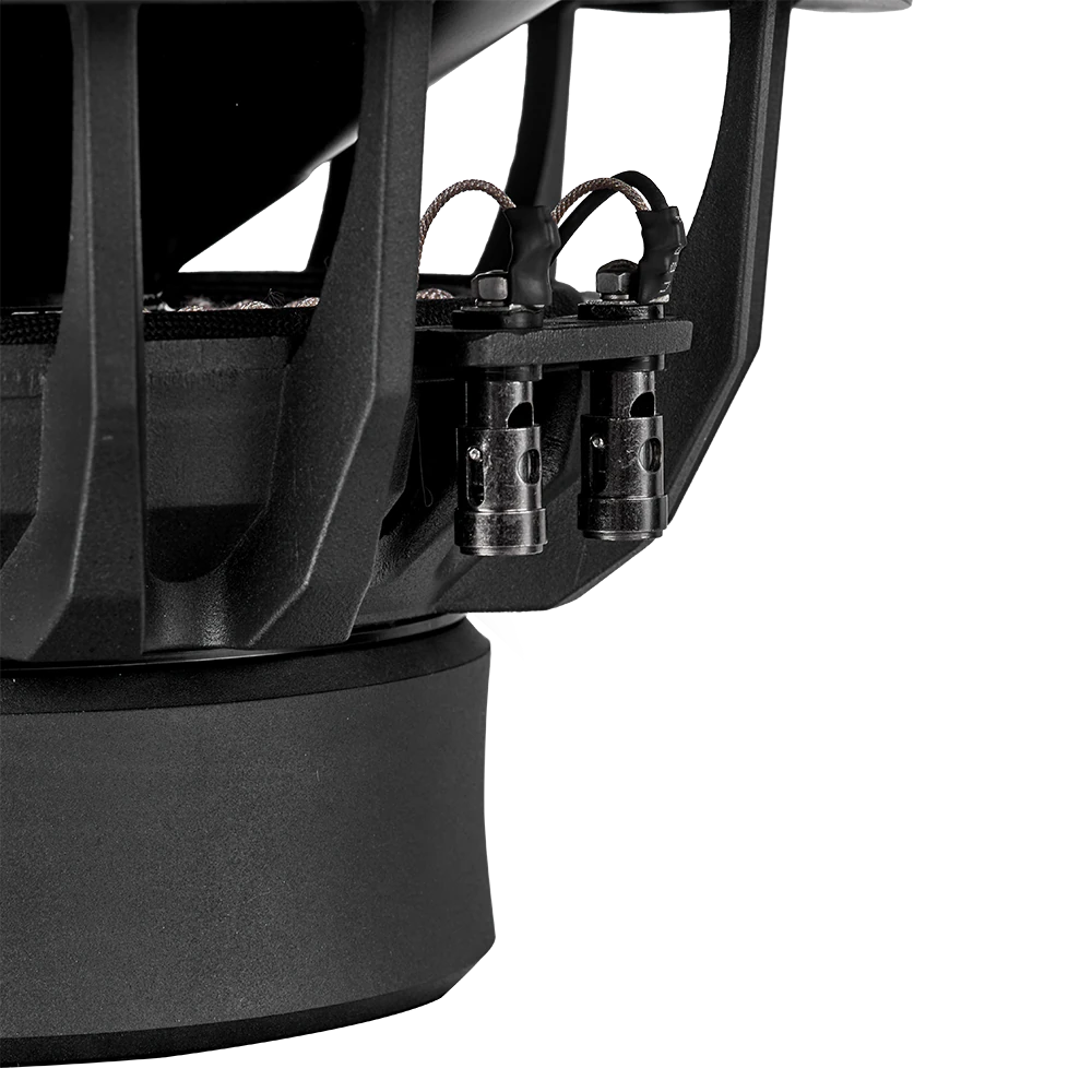 DLS Reference RSW10.D2