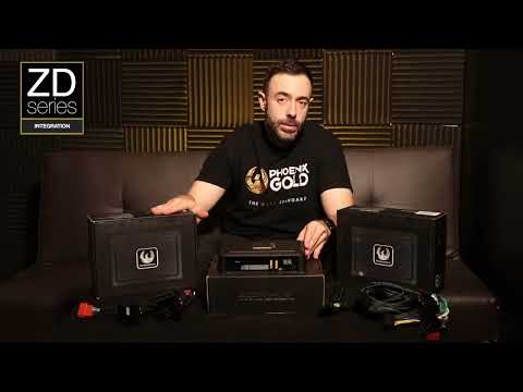 Phoenix Gold ZDA4.8 DSP