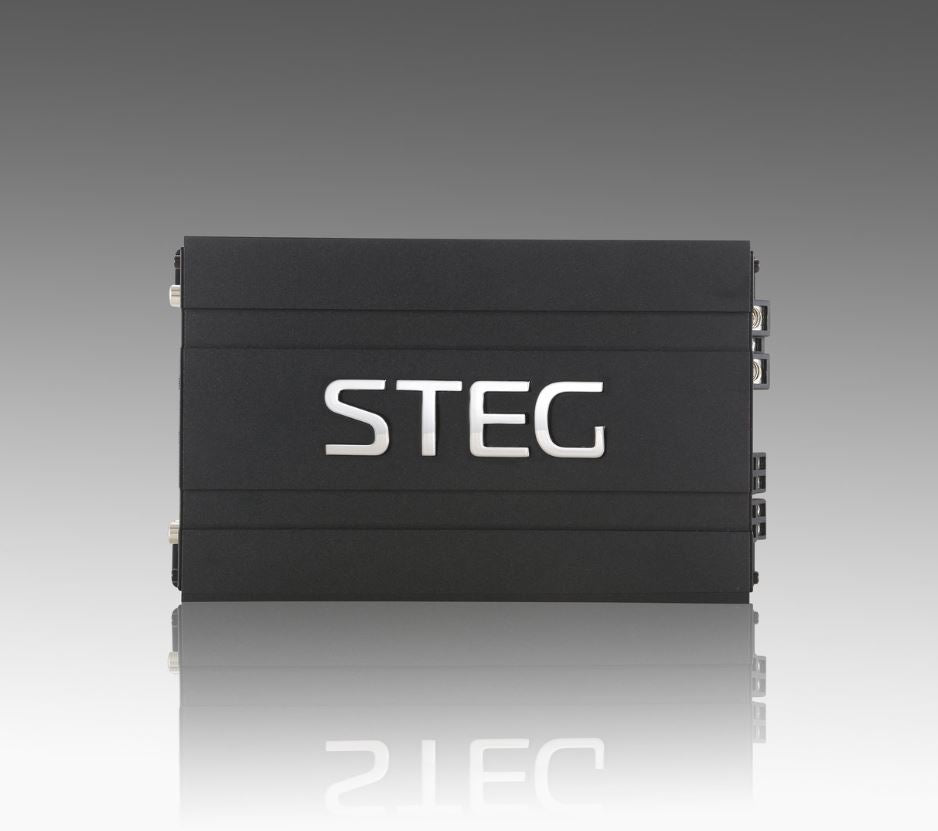 STEG DST401D