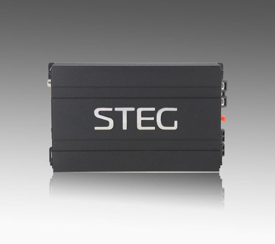 STEG DST202D
